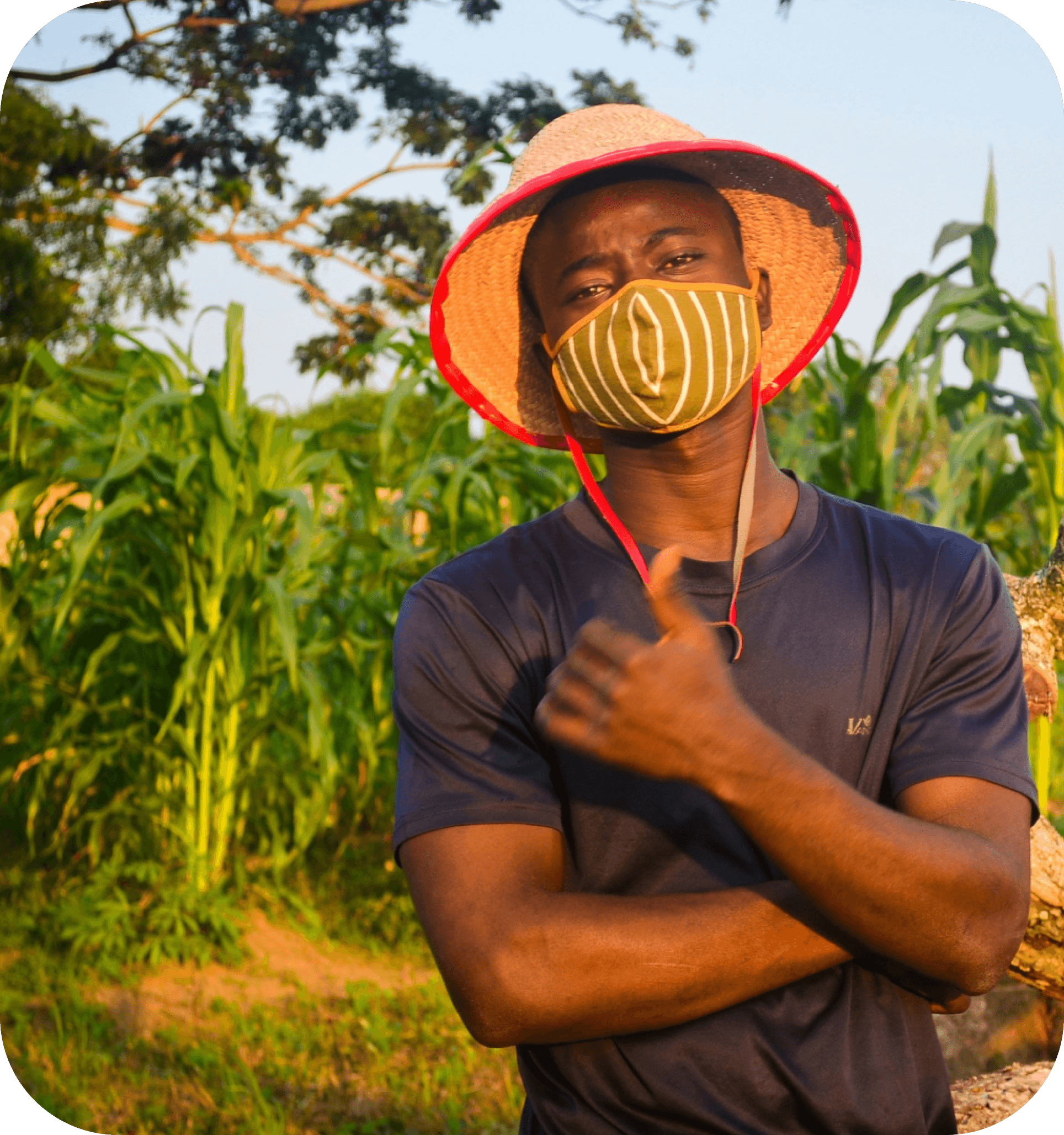 Nigeria Food Security Project