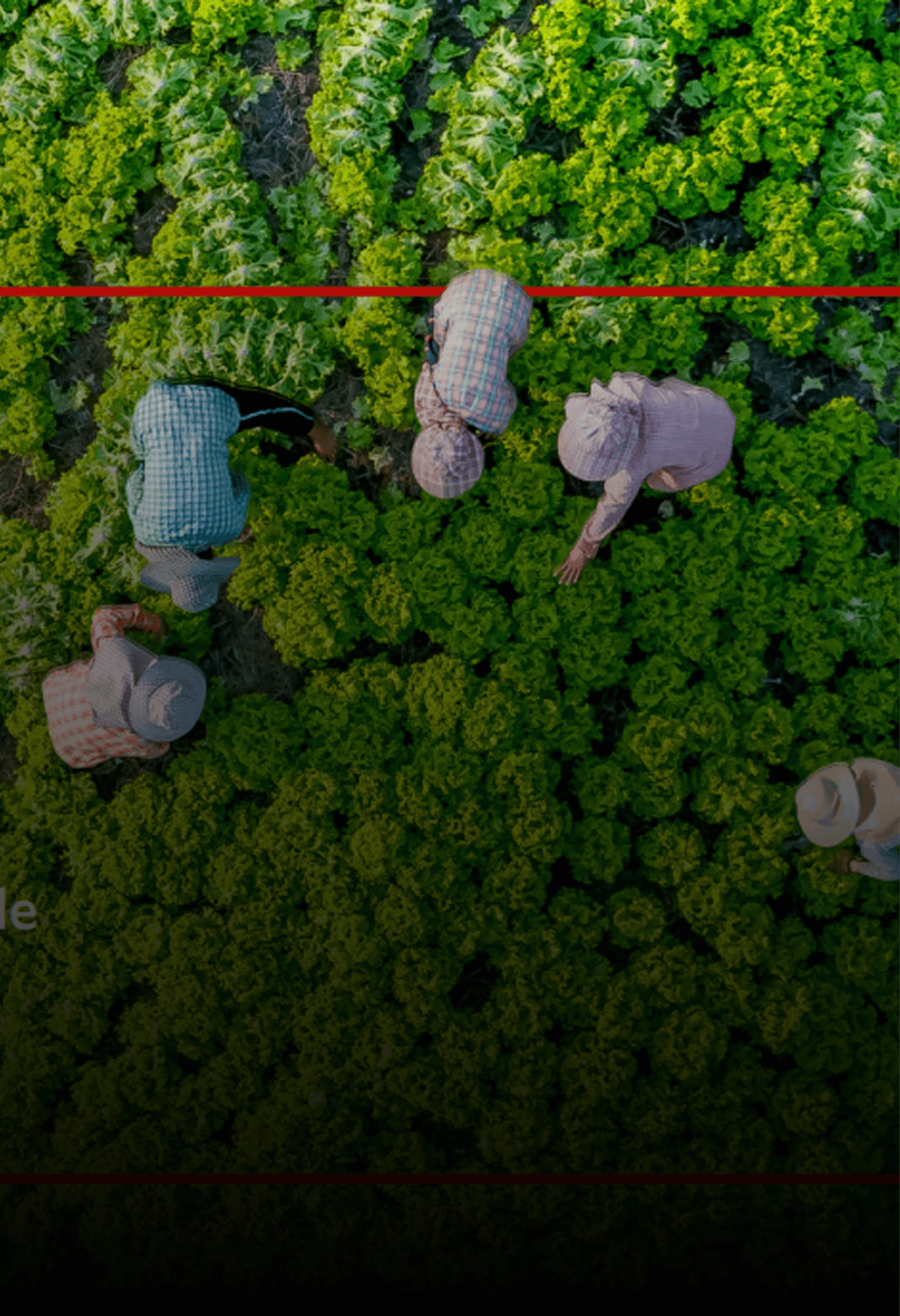 Global Food Security Index 2022