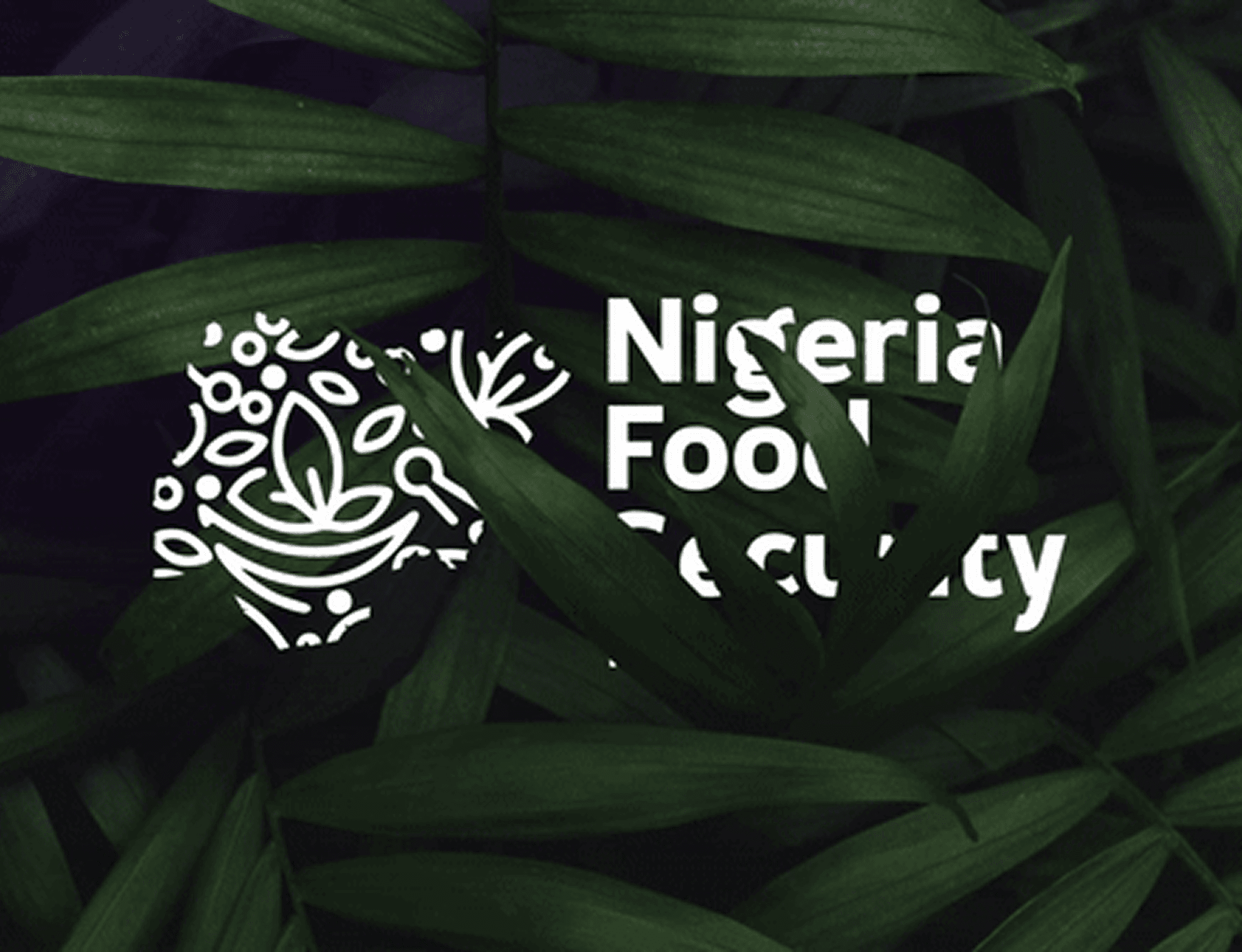 Nigeria Food Security Project